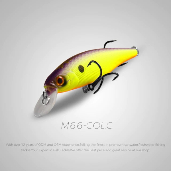Bearking Squad Minnow 65mm C