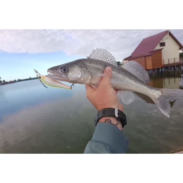 Bull Tackle süllyedő wobbler 10 cm - Image 4